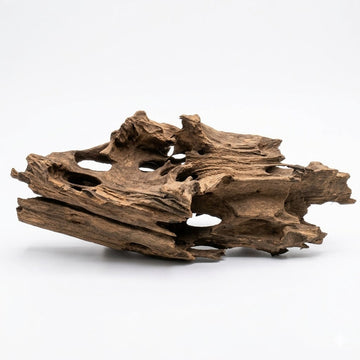 Shrimp Wood