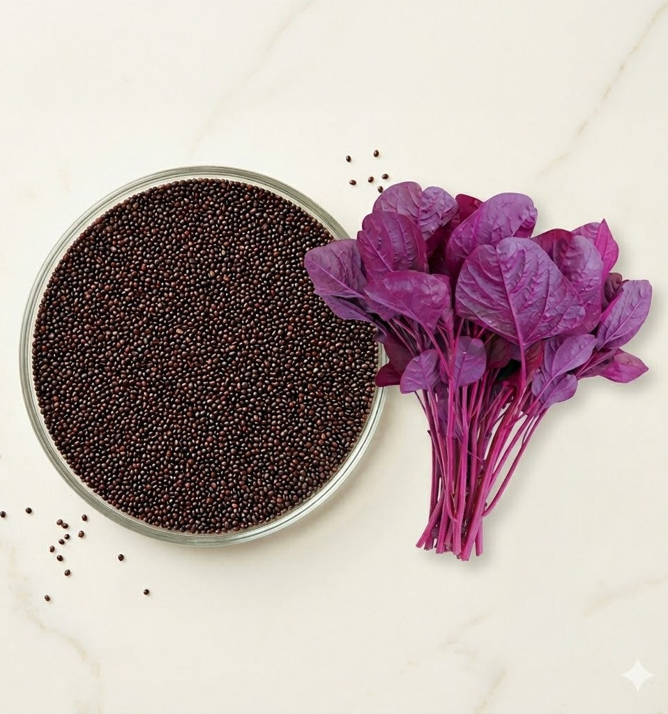 Amaranthus Arun Red Seeds (Red Spinach) Mannuthy Variety - 3 Grams/pack