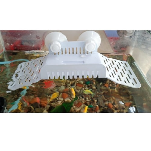 Amphi-Bian Turtle resting Stand Plastic for Aquariums