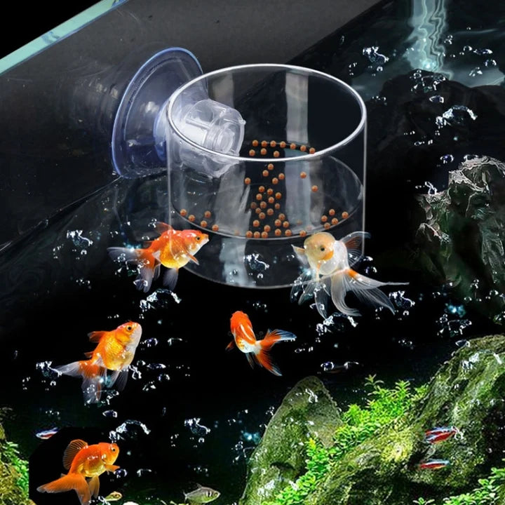 Aqua Care Acrylic Transparent Feeding Ring for Aquarium Feeding