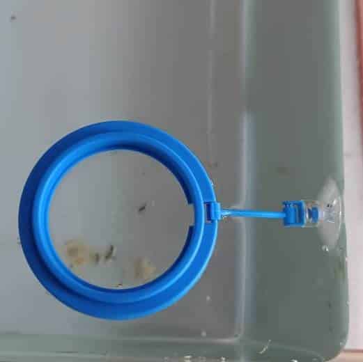 Aquarium Fish feeding Floating ring Round Shape - 2