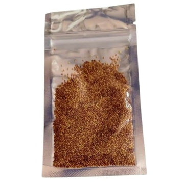 Aquarium Grass Plants Seeds Double leaf