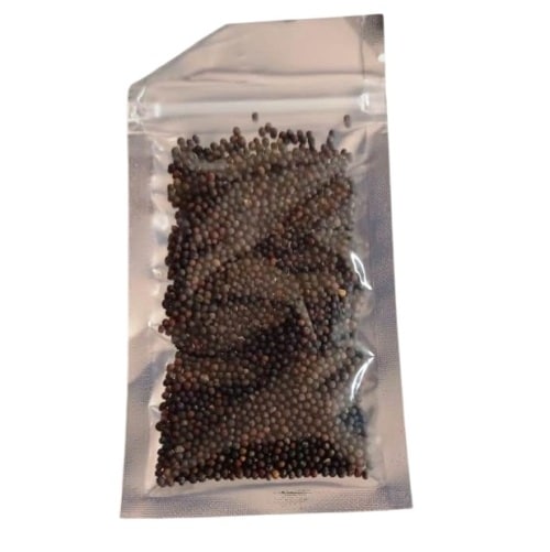 Aquarium Grass Plants Seeds