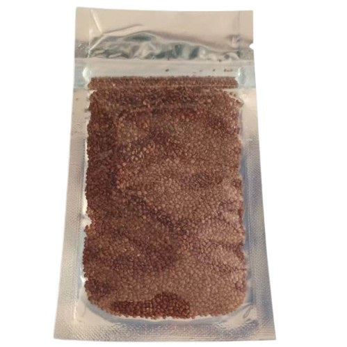 Aquarium Grass Plants Seeds - No 2