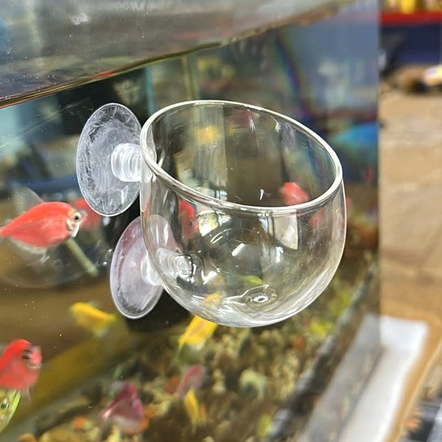 Aquatic Plant Holder Pot - Clear Glass with Suction Cups