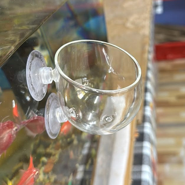 Aquatic Plant Holder Pot - Clear Glass with Suction Cups