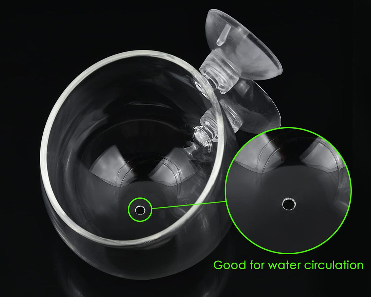 Aquatic Plant Holder Pot - Clear Glass with Suction Cups