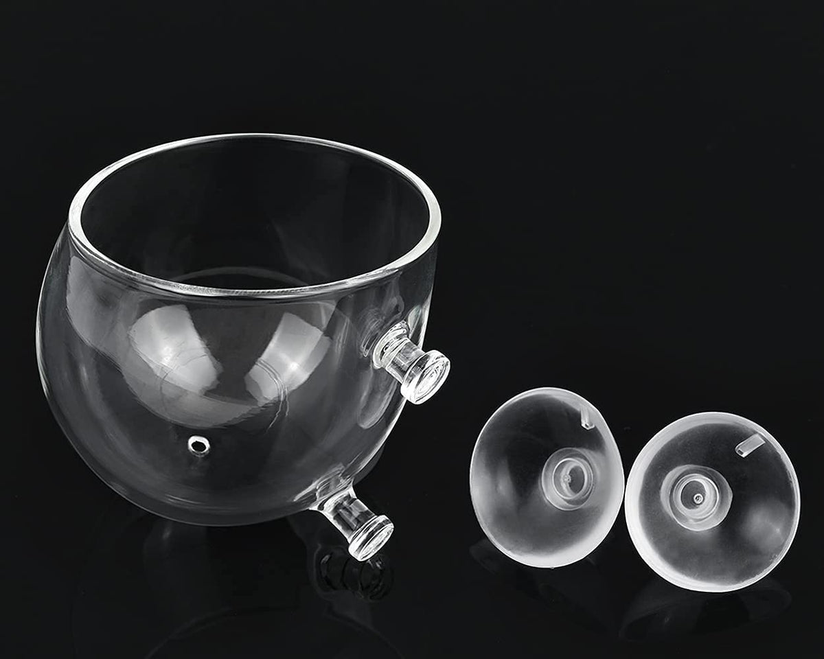 Aquatic Plant Holder Pot - Clear Glass with Suction Cups