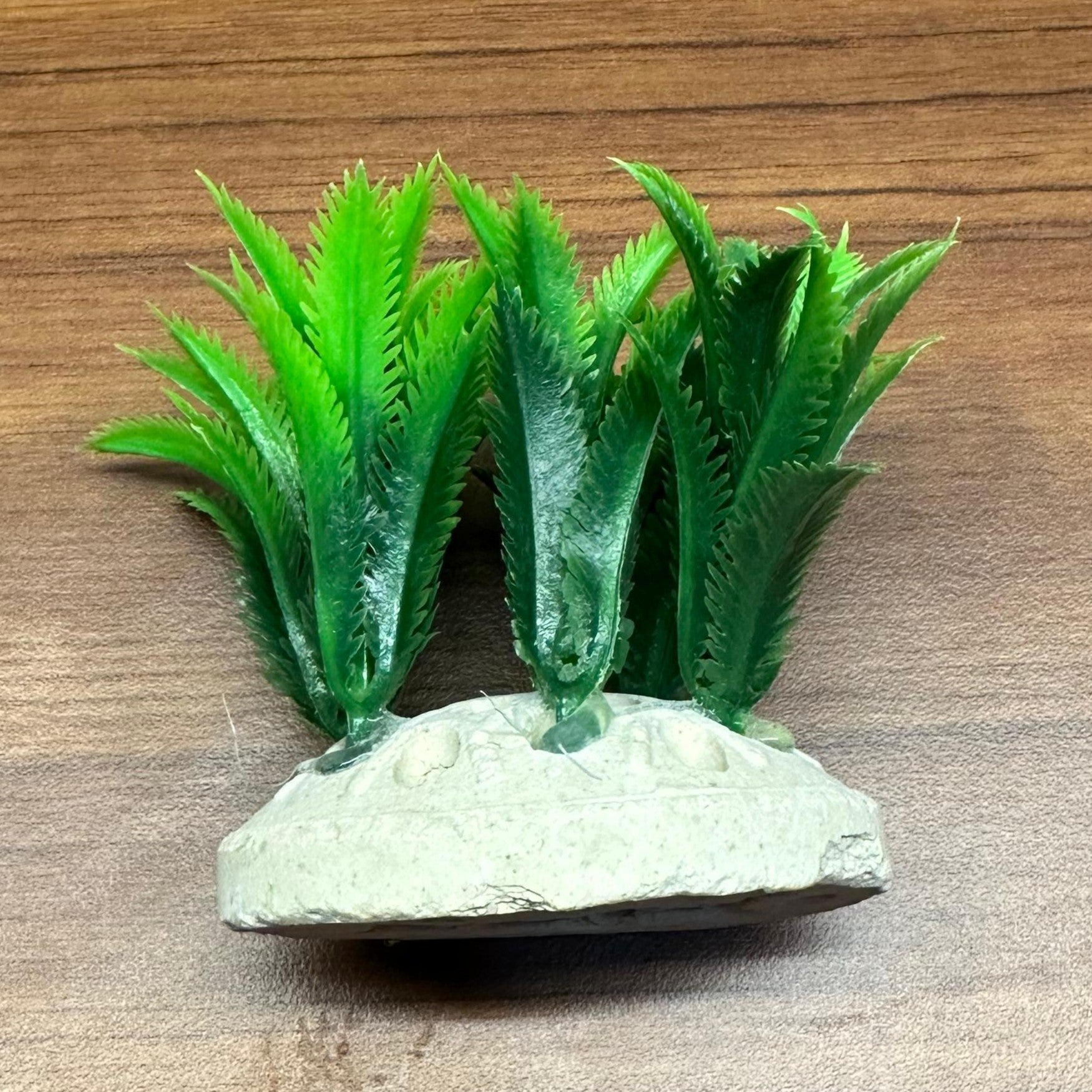 Artificial Aquarium Plant with Weighted Base - AG49-C – for Fish Tank Decoration - 3
