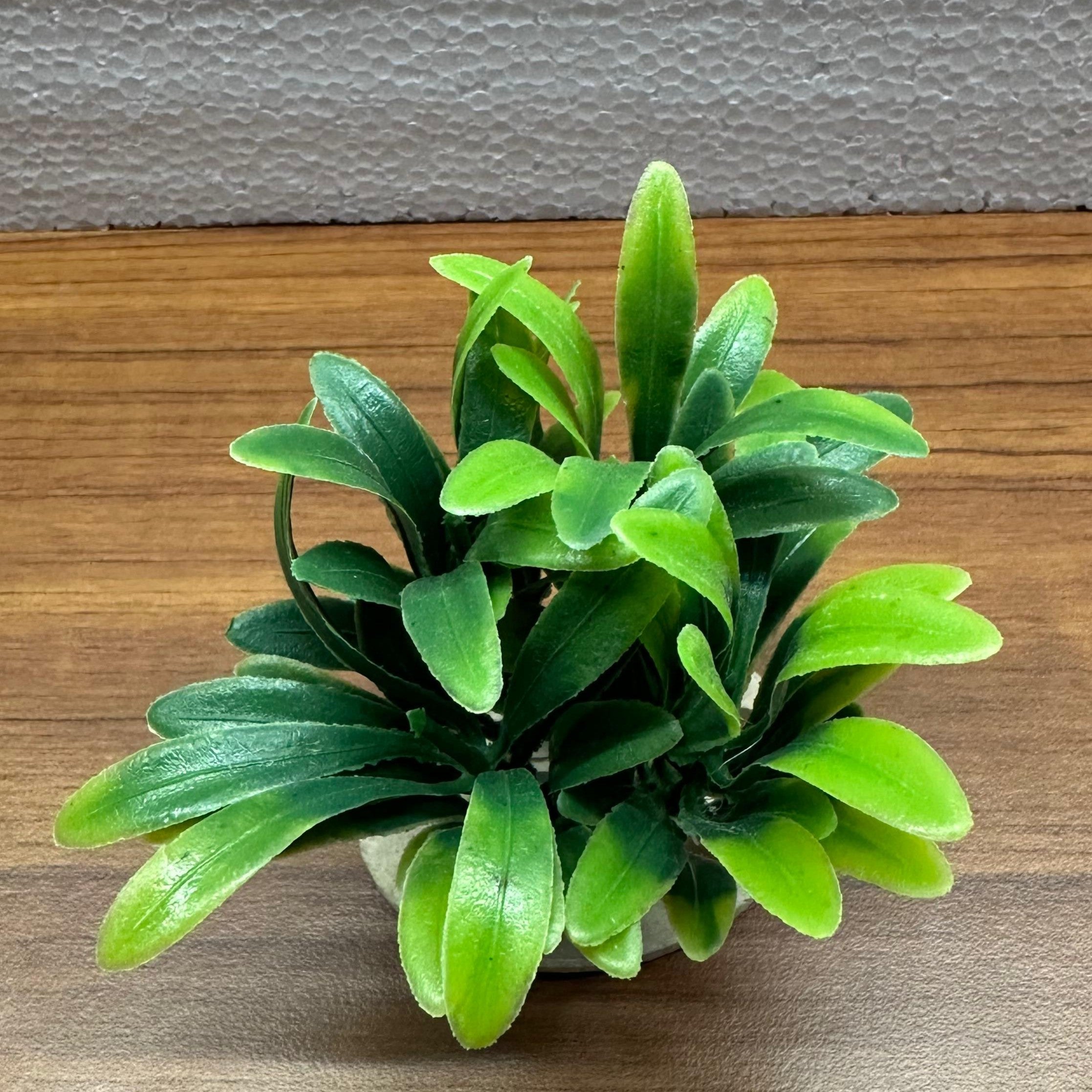 Artificial Aquarium Plant with Weighted Base - AG49-D – for Fish Tank Decoration