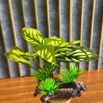Artificial Aquarium Plant on wood designed Base (BL01-A) – 4 Inch Realistic Tank Decoration