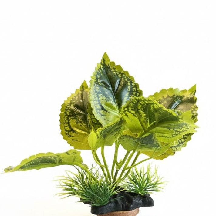 Artificial Aquarium Plant (4 Inch) – Realistic Variegated Broad Leaf Decoration (Model BS01)
