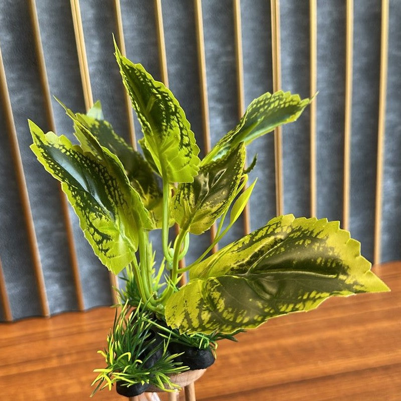 Artificial Aquarium Plant (4 Inch) – Realistic Variegated Broad Leaf Decoration (Model BS01) - 3