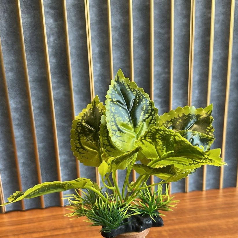 Artificial Aquarium Plant (4 Inch) – Realistic Variegated Broad Leaf Decoration (Model BS01)