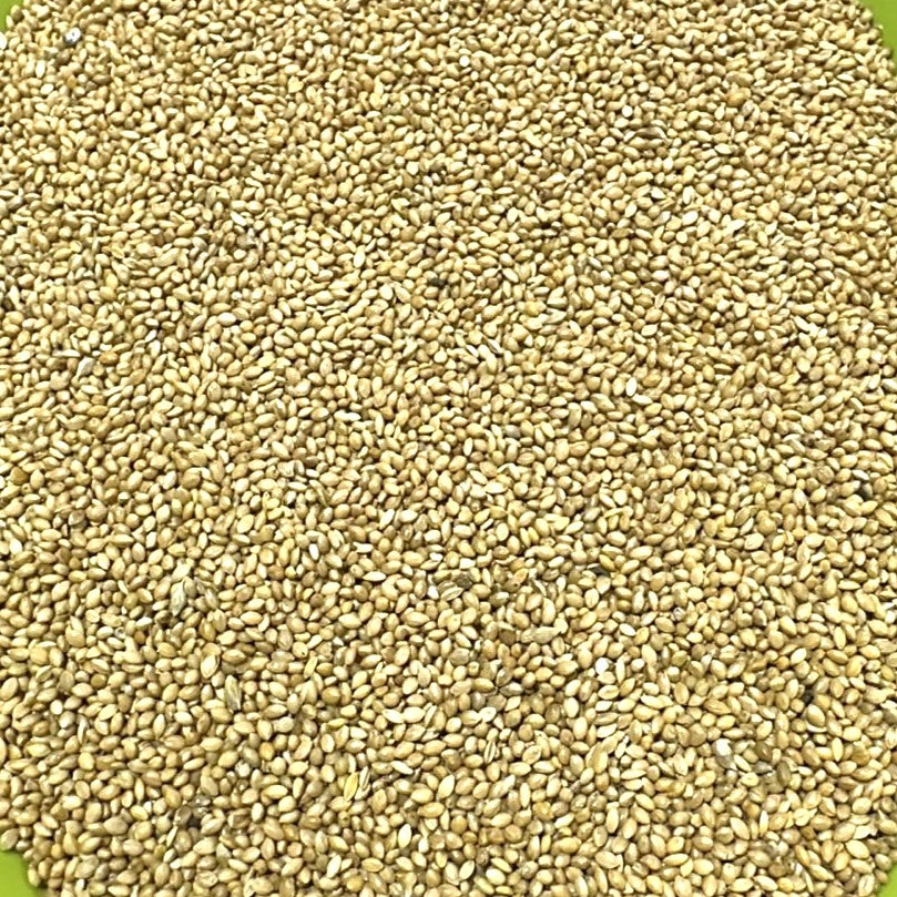 Avi Feathers Cleaned Thinai Bird Food (1kg Repacked) – Premium Foxtail Millet