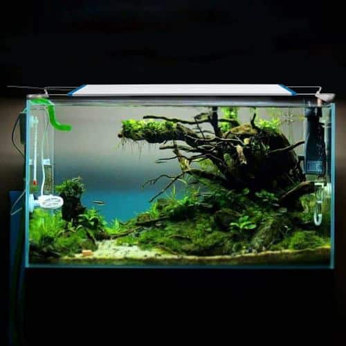 Blue pet BR-30 Bracket Adjustable Aquarium Light - 3