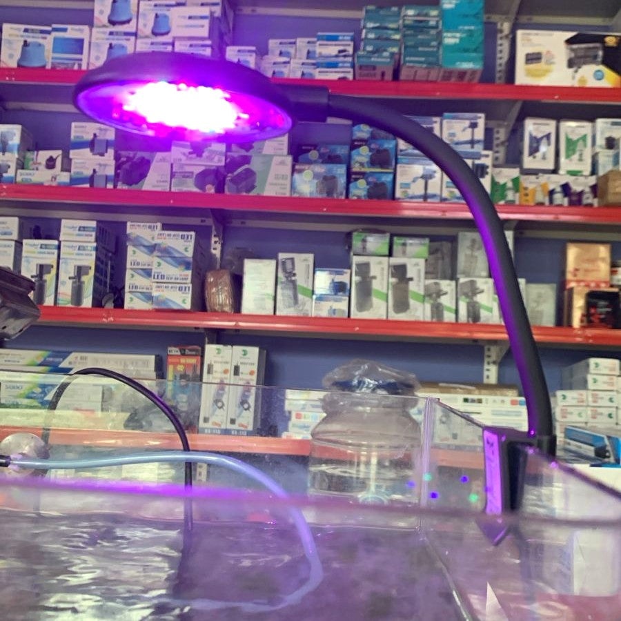 BluePet N6+ Color Change Mini LED Lamp (6W) Full Spectrum Light for Nano Tanks - 6