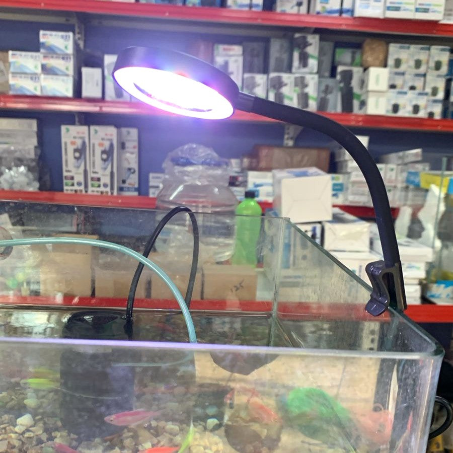 Bluepet N-6 Mix color Nano Aquarium Lamp 2.5 watts - 2