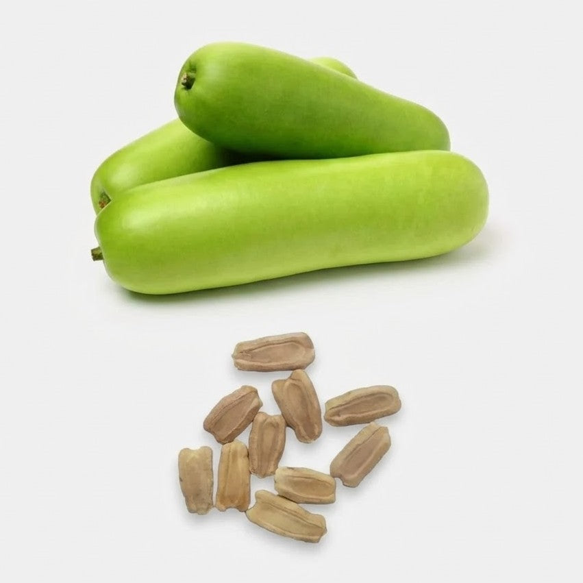Bottle Gourd Arka Bahar Seeds 20 Pcs – Premium Chiranga Seeds (Mannuthy Variety)