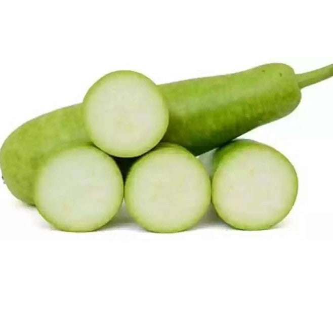 Bottle Gourd Arka Bahar Seeds 20 Pcs – Premium Chiranga Seeds (Mannuthy Variety) - 5