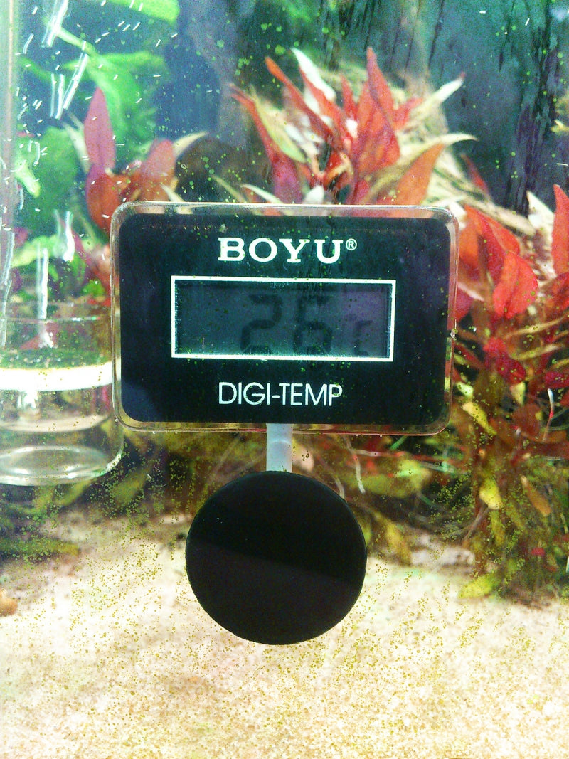 Boyu BT-10 Submersible Digital Thermometer for Aquariums - 4
