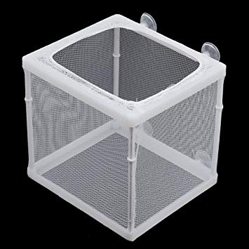 Boyu NB-3201 Aquarium Net Breeder – Safe Isolation Hatchery & Fry Saver - 5