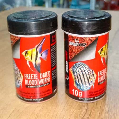 Champion Freeze Dried Blood Worms 10 gram - 2