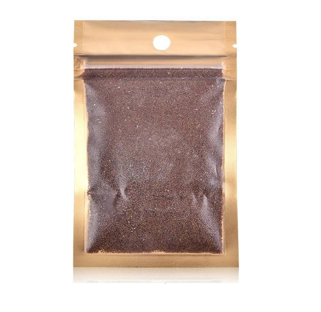 Premium Carpet Grass Seeds for Planted Aquariums