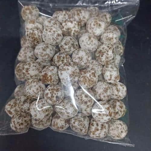 Ceramic grey Bio Balls for Aquarium Filter Media 500 gram packet - 4