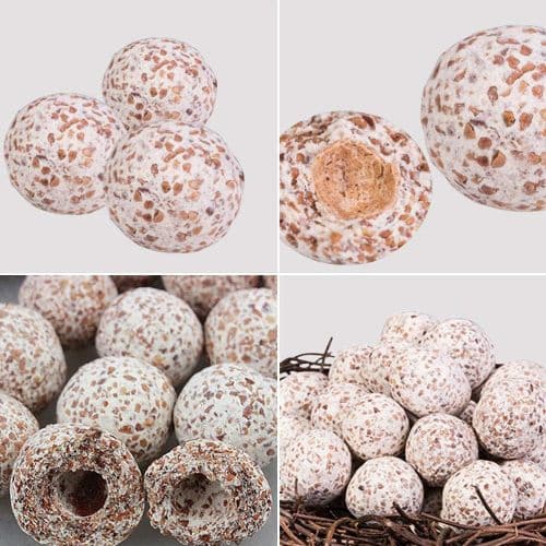 Ceramic grey Bio Balls for Aquarium Filter Media 500 gram packet - 6