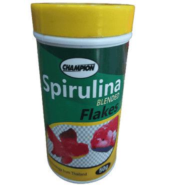 Champion Spirulina Blended Flakes 50 gram Fish Food