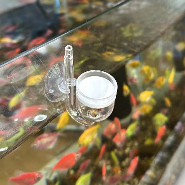 Professional 22mm CO2 Glass Diffuser