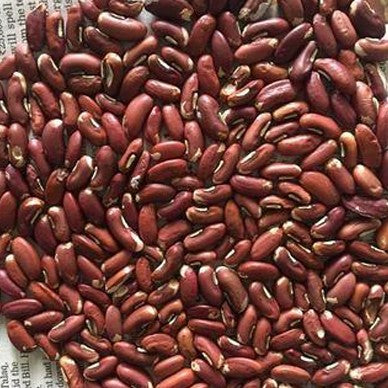 Cowpea Kashi Kanchan Seeds 30 Pcs – Premium Long Payar Seeds (Mannuthy Variety) - 6