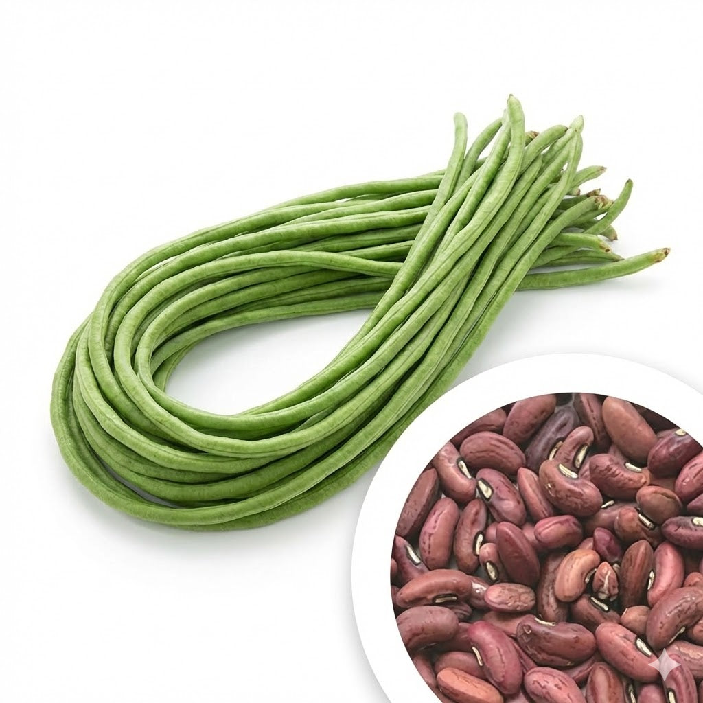 Cowpea Kashi Kanchan Seeds 30 Pcs – Premium Long Payar Seeds (Mannuthy Variety)