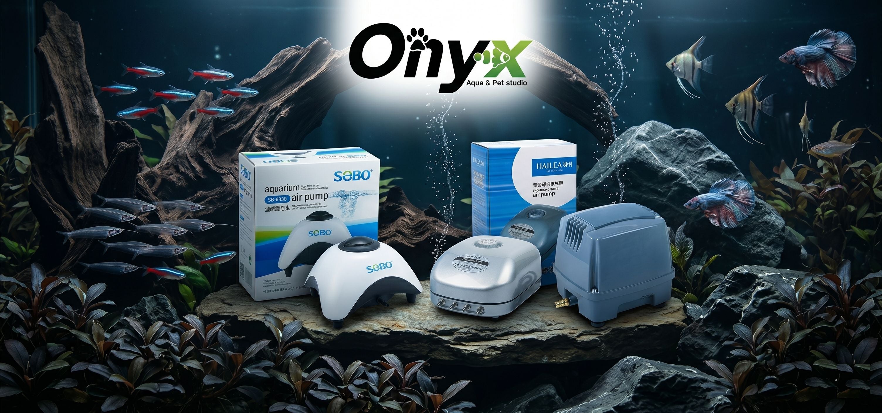 slider image slider_item_8LxDmR