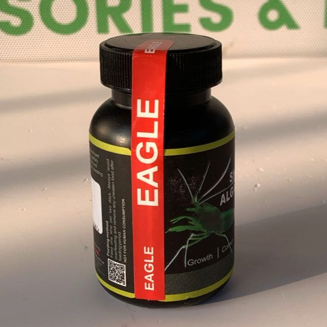 Eagle Shrimp Algae Food 100ml - High-Protein Diet - 5