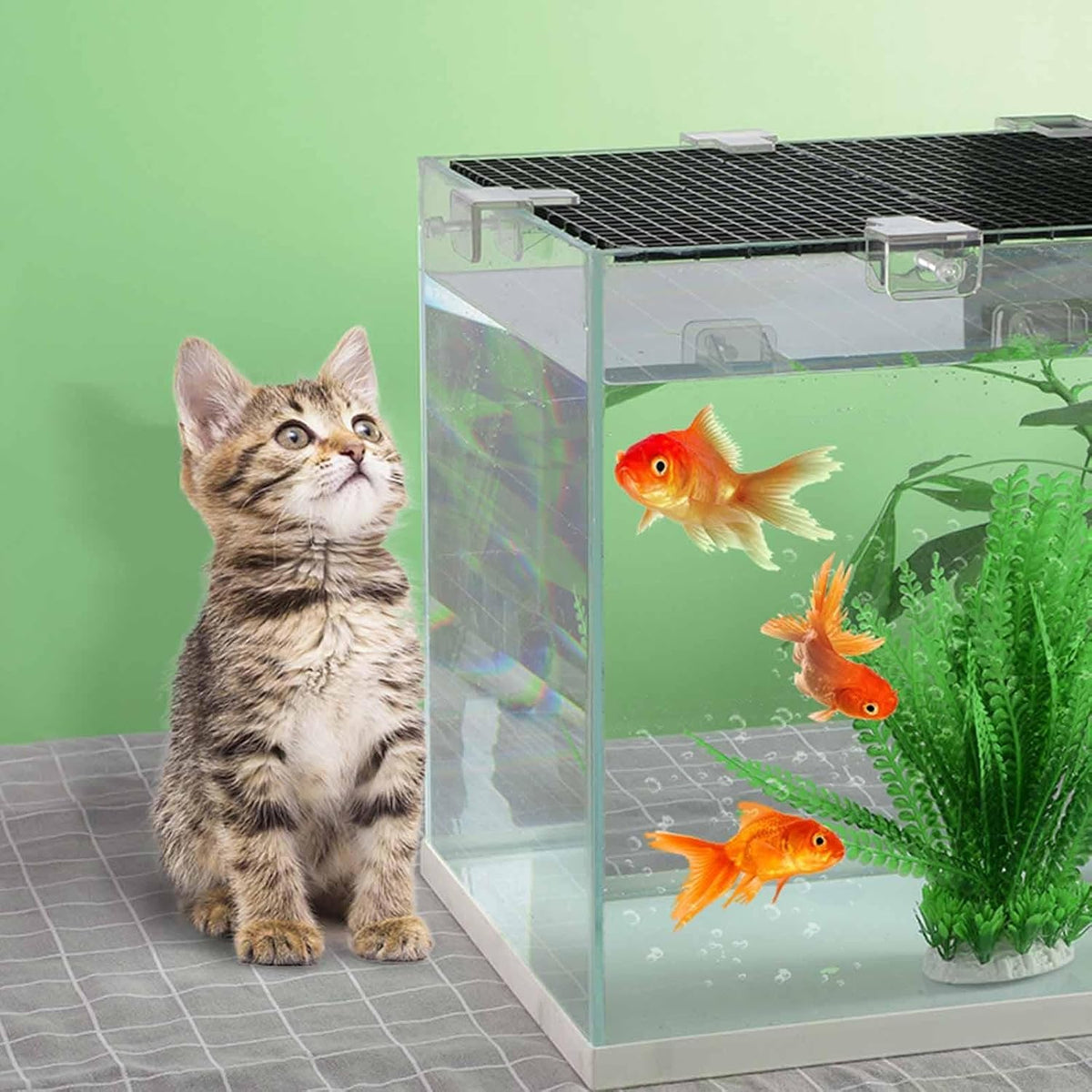 Egg Tray or Aquarium Fish Tank Bottom (White Color 30 x 30 cm)