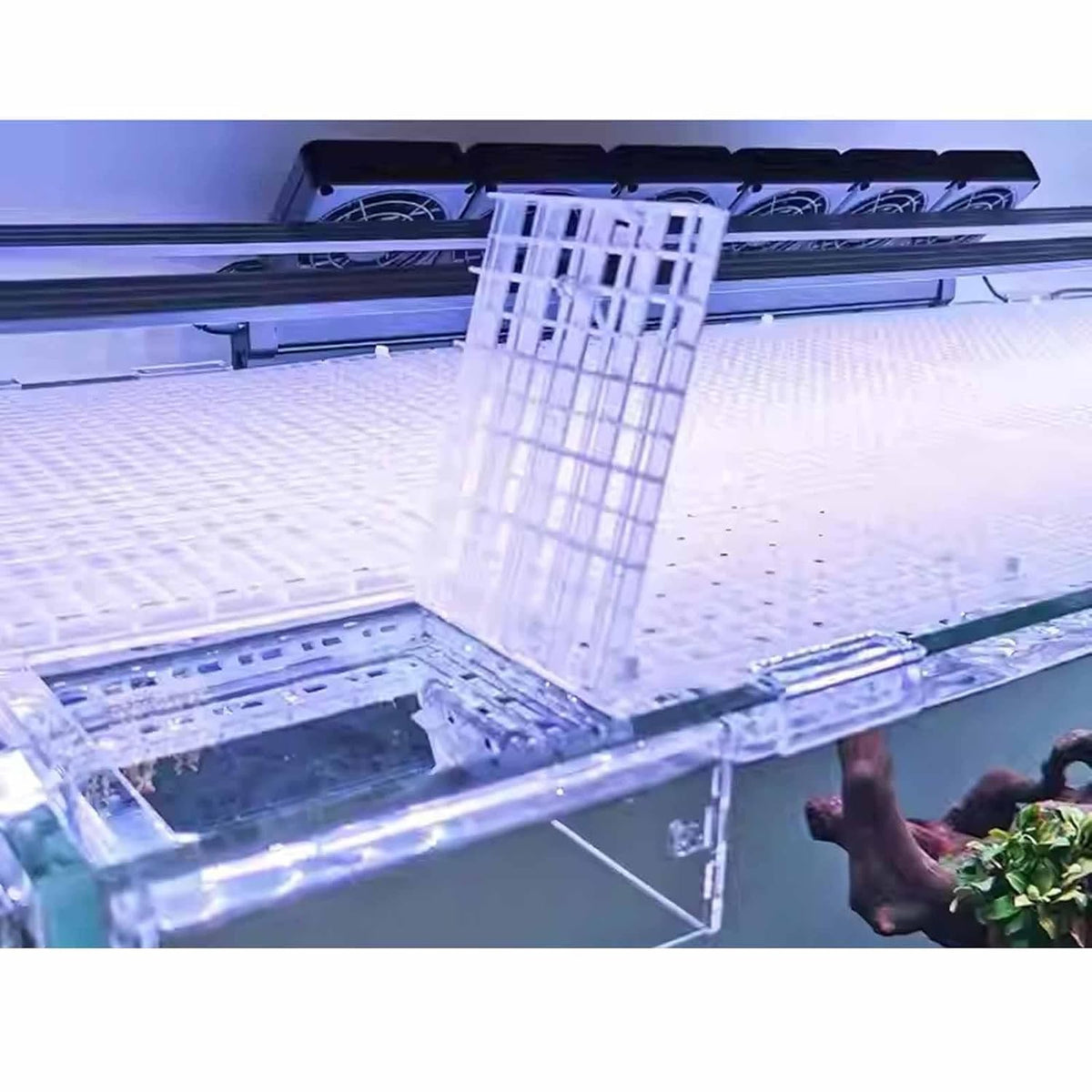 Egg Tray or Aquarium Fish Tank Bottom (White Color 30 x 30 cm)