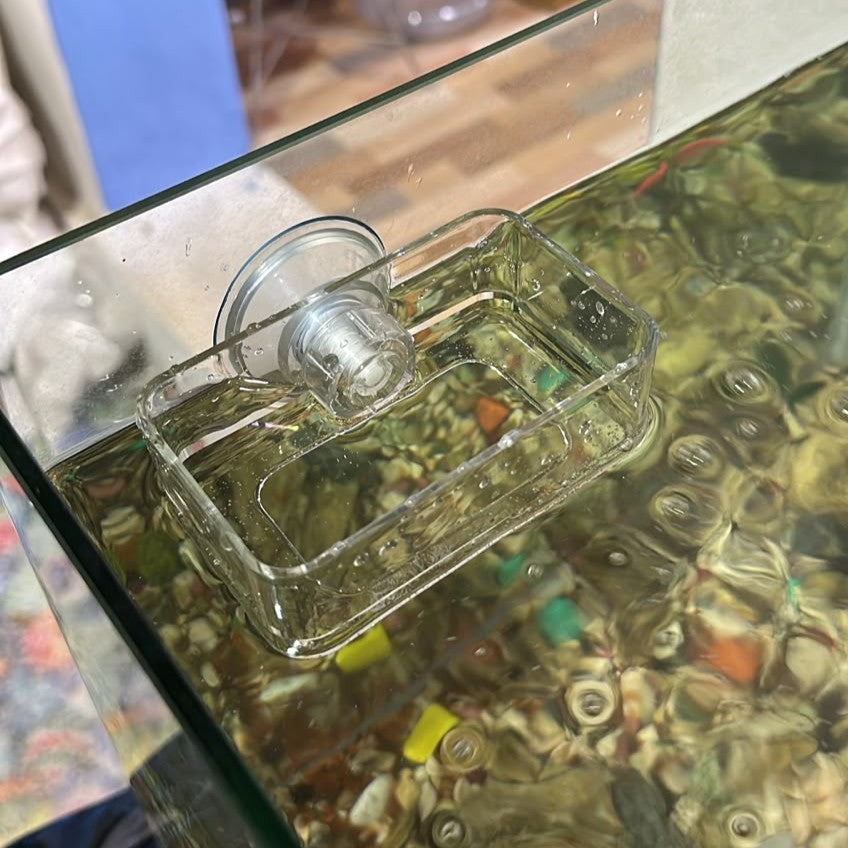 Premium Clear Acrylic Fish Breeding Box (10 x 6.3 x 3.9 cm)