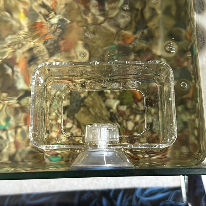 Premium Clear Acrylic Fish Breeding Box (10 x 6.3 x 3.9 cm)