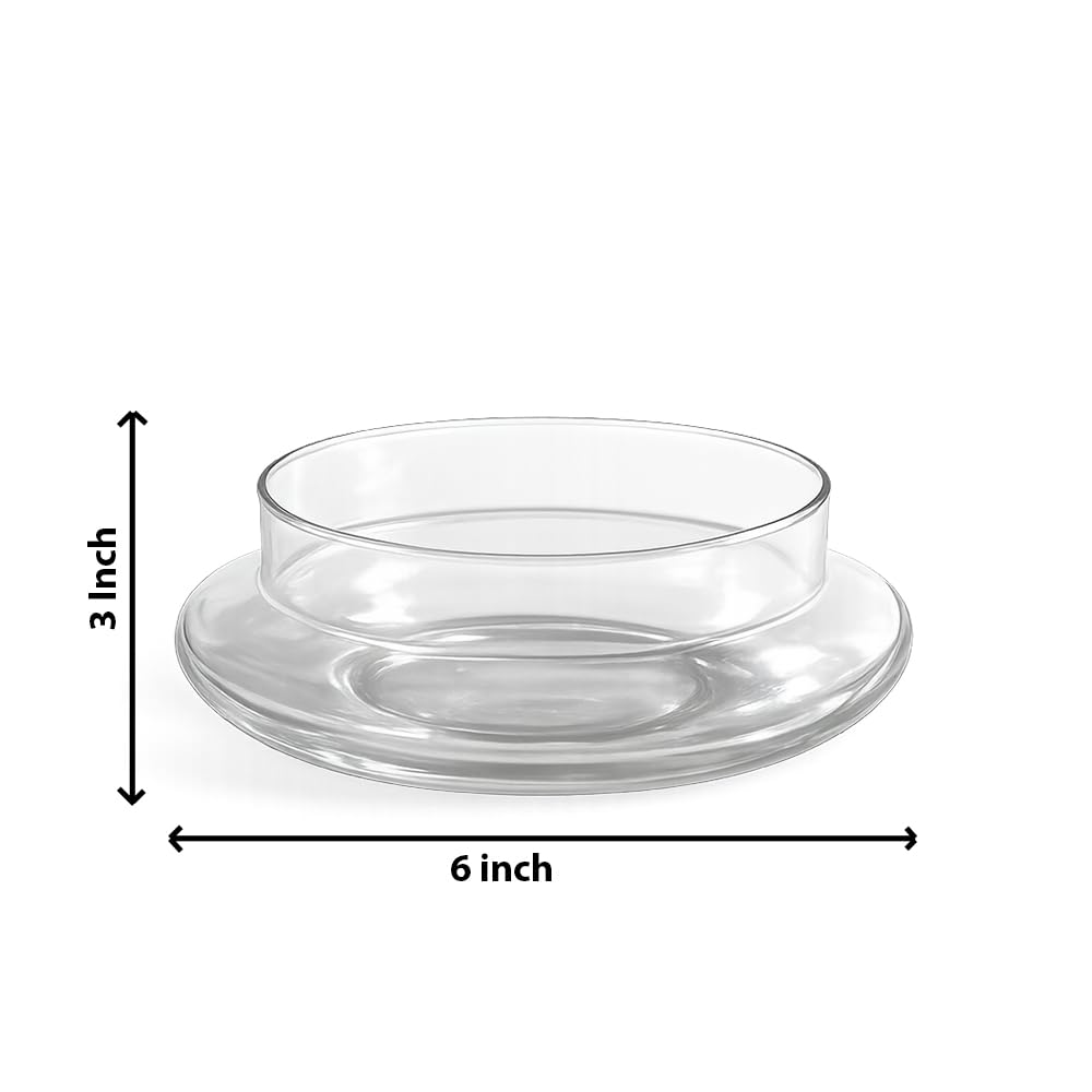 Glass Bowl Planter for Lucky Bamboo & Money Plant (6 Inch)