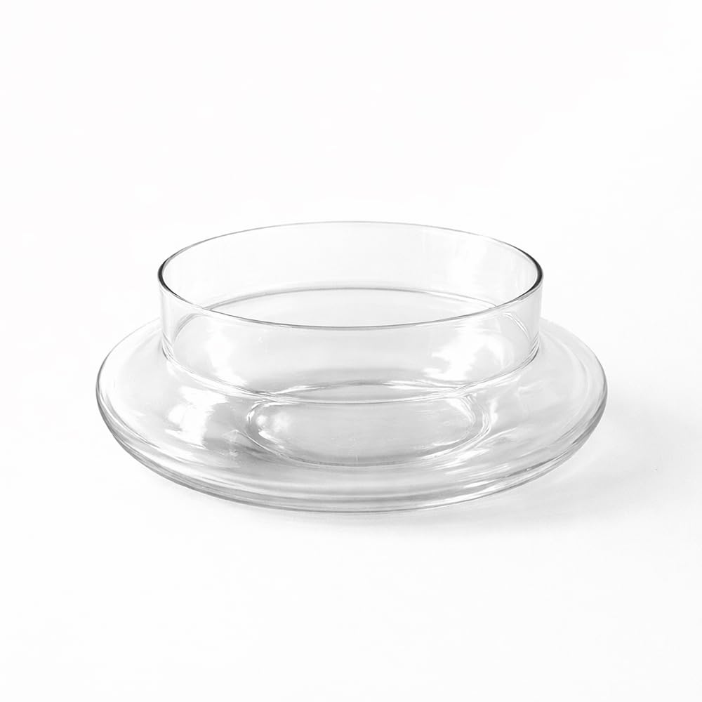 Glass Bowl Planter for Lucky Bamboo & Money Plant (6 Inch)