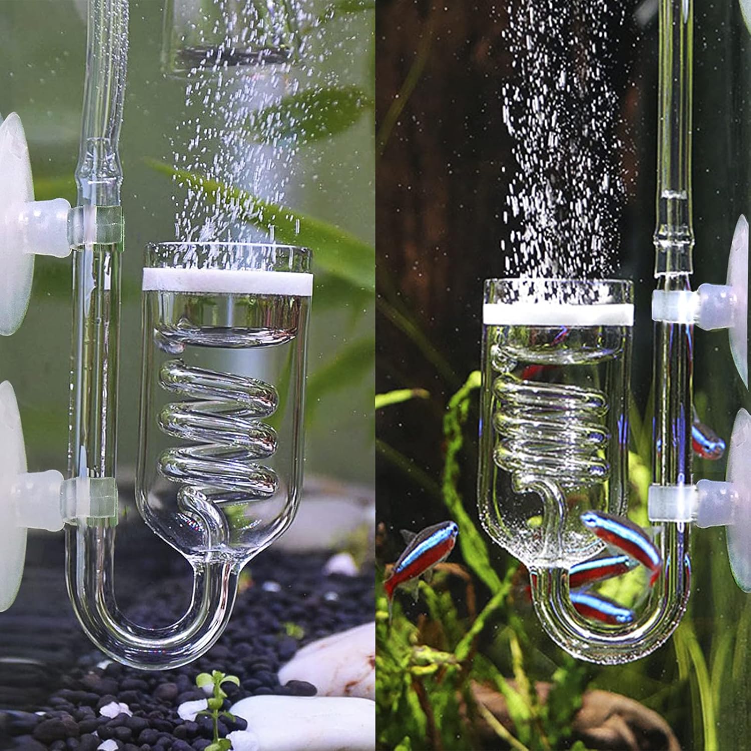 Premium Spiral Glass CO2 Diffuser (18mm) with Built-In Bubble Counter