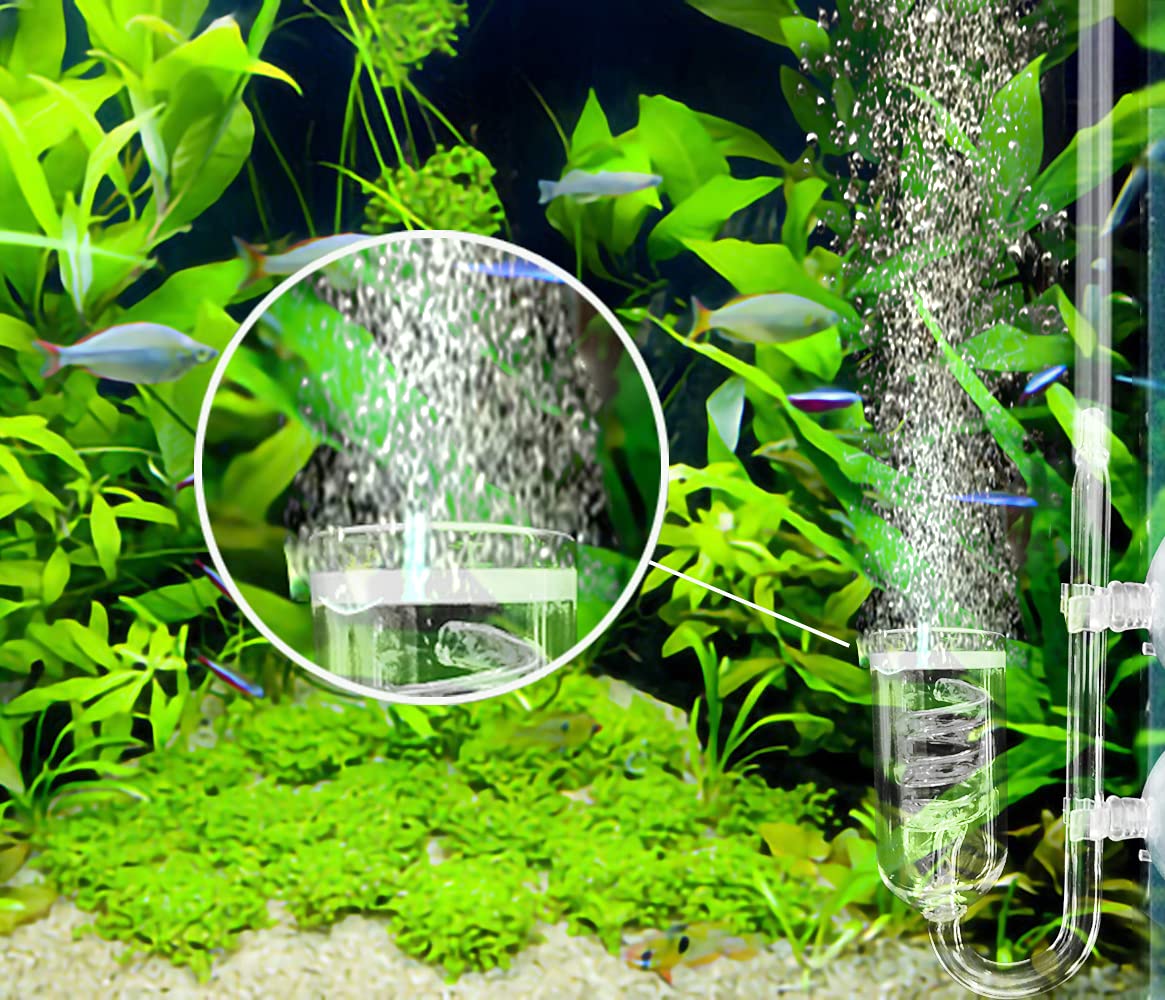 Premium Spiral Glass CO2 Diffuser (18mm) with Built-In Bubble Counter