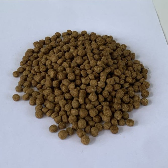 Growel Fish Feed - 4 mm Protein 24/4 for Edible and Ormanemental Fishes