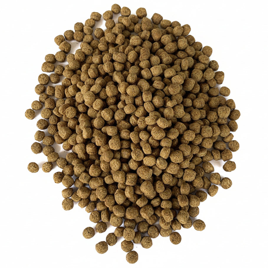 Growel Fish Feed - 4 mm Protein 24/4 for Edible and Ormanemental Fishes