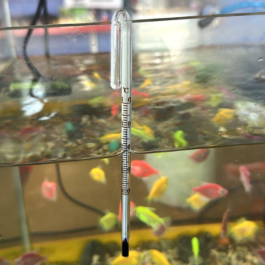 EK-15 Hang-On Glass Aquarium Thermometer (15cm)
