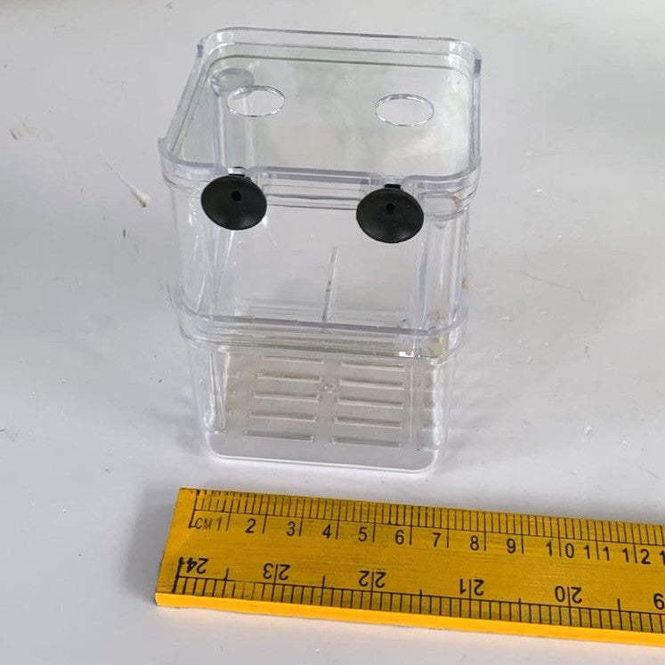 IPO Fish Breeder Box (Size S) – Nursery for Livebearers - 5