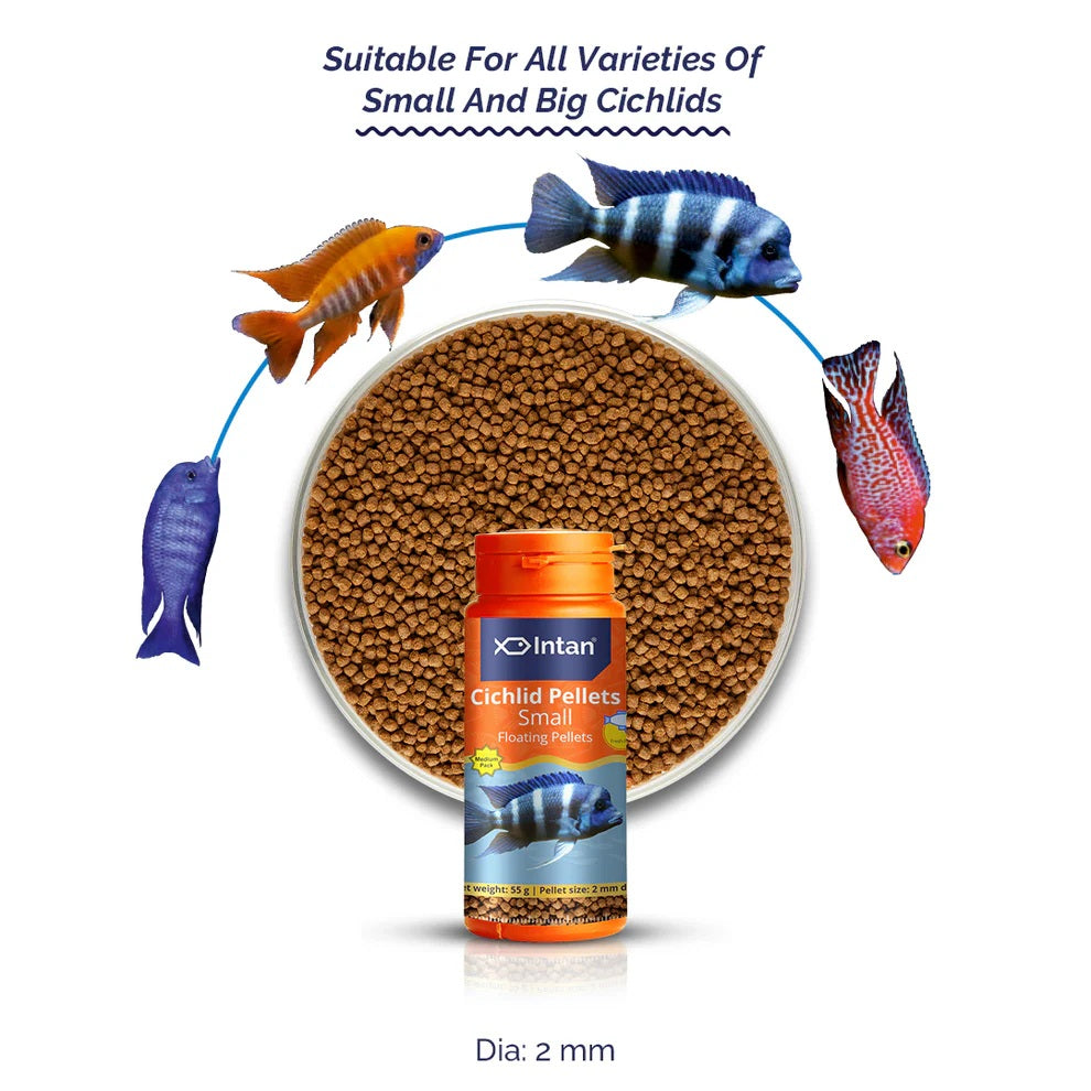 Intan Cichlid Pellets 2mm size Fish feed 145 gram bottle - 6