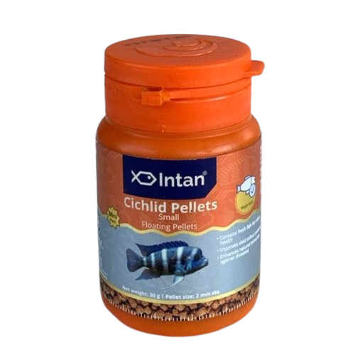 Intan Cichlid Pellets 2mm size Fish feed 30 gram bottle